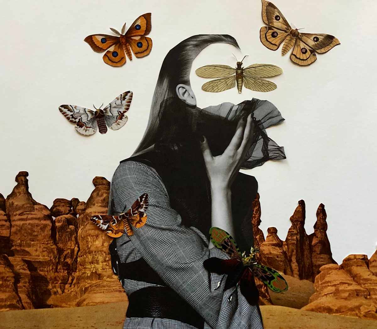 First Flight by Ariel Kohn 
