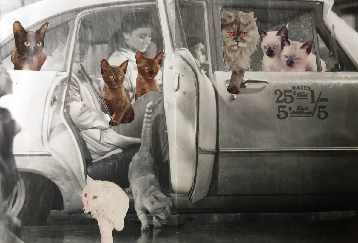 Carpool by Ariel Kohn 