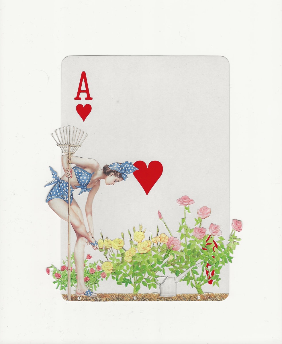Coming Up Roses by Ariel Kohn 