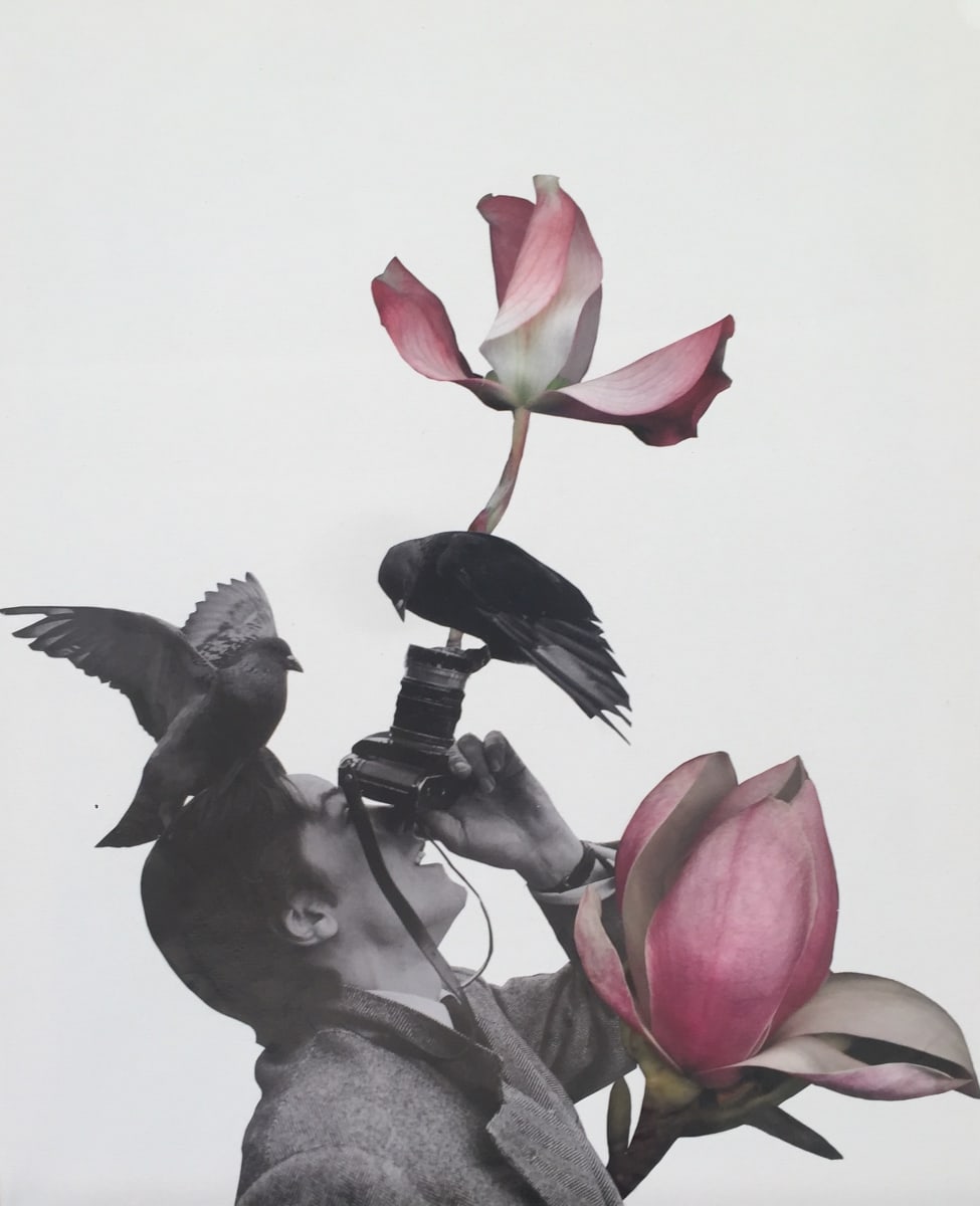 The Capture by Ariel Kohn 
