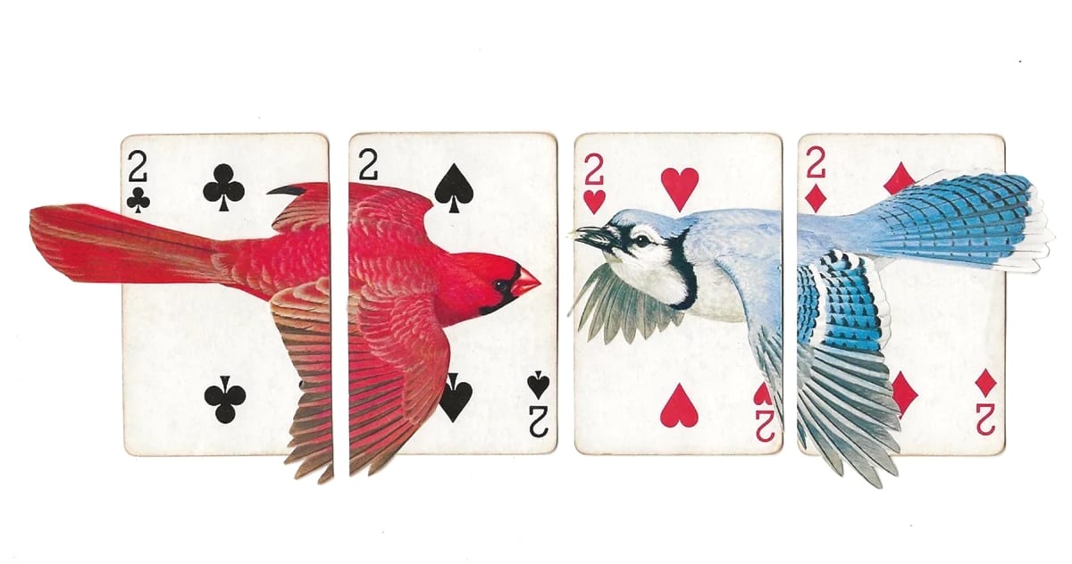 Little Talks by Ariel Kohn, Image 1.