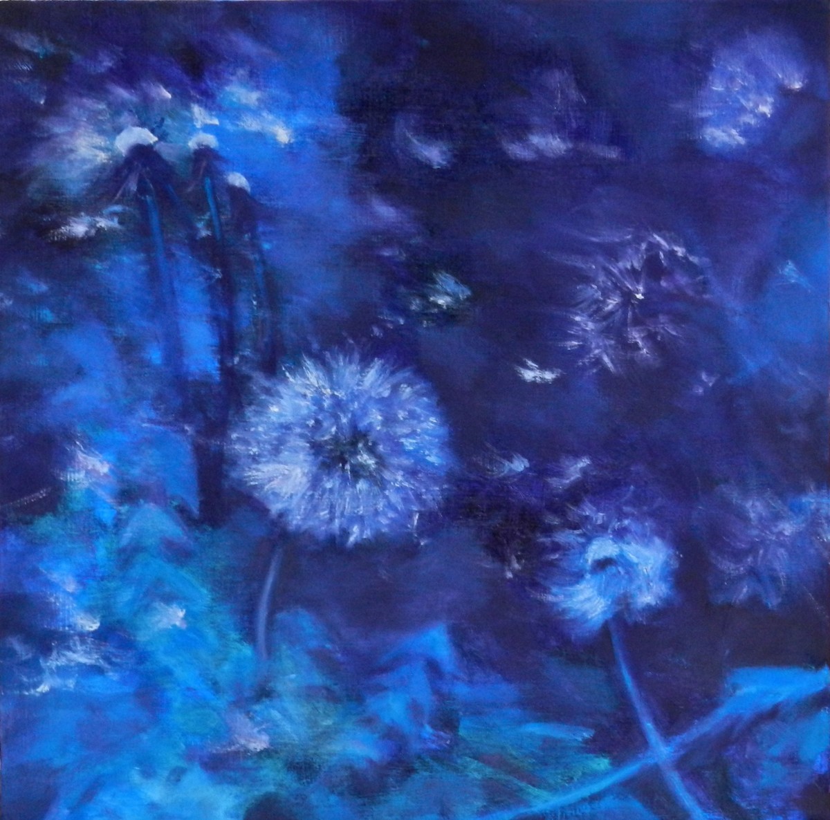 Dandelion Night by Leisa Shannon Corbett 