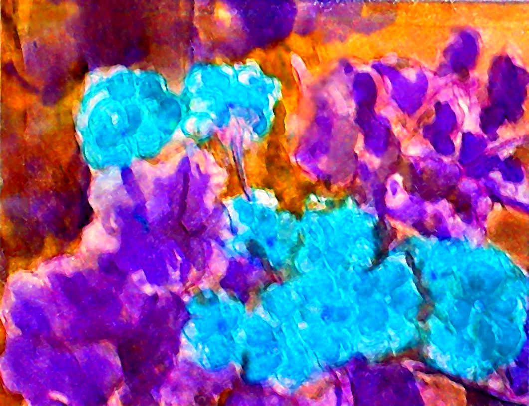 Geraniums 2 by Leisa Shannon Corbett, Image 1.
