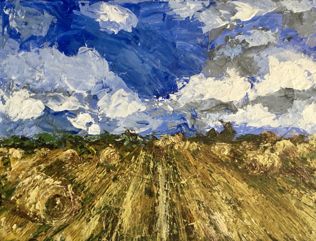 Hayfield 7 by Leisa Shannon Corbett 