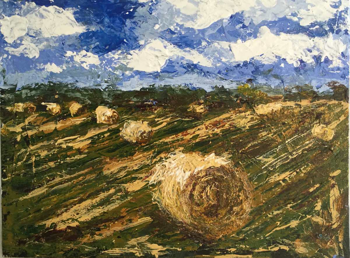Hayfield8 by Leisa Shannon Corbett, Image 1.