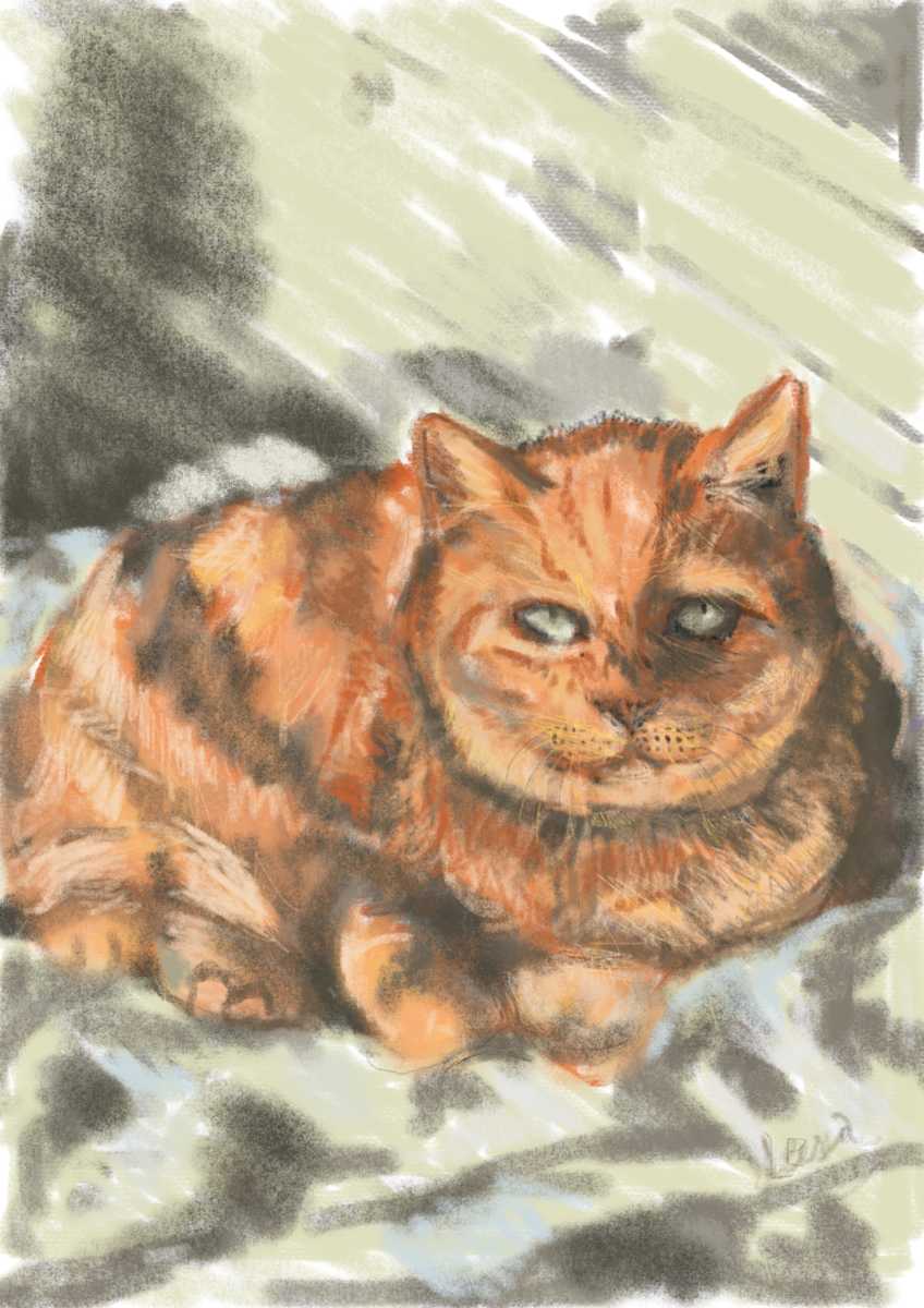 Max Cat by Leisa Shannon Corbett, Image 1.