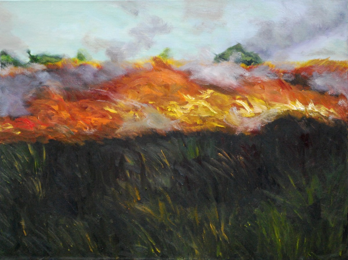 Prairie Burn2 by Leisa Shannon Corbett, Image 1.