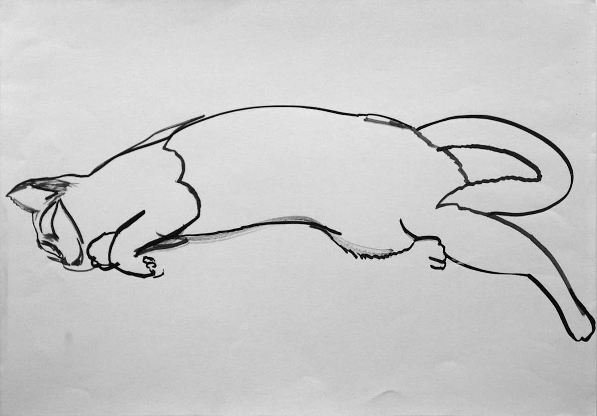 Cat gesture 2 by Leisa Shannon Corbett, Image 1.