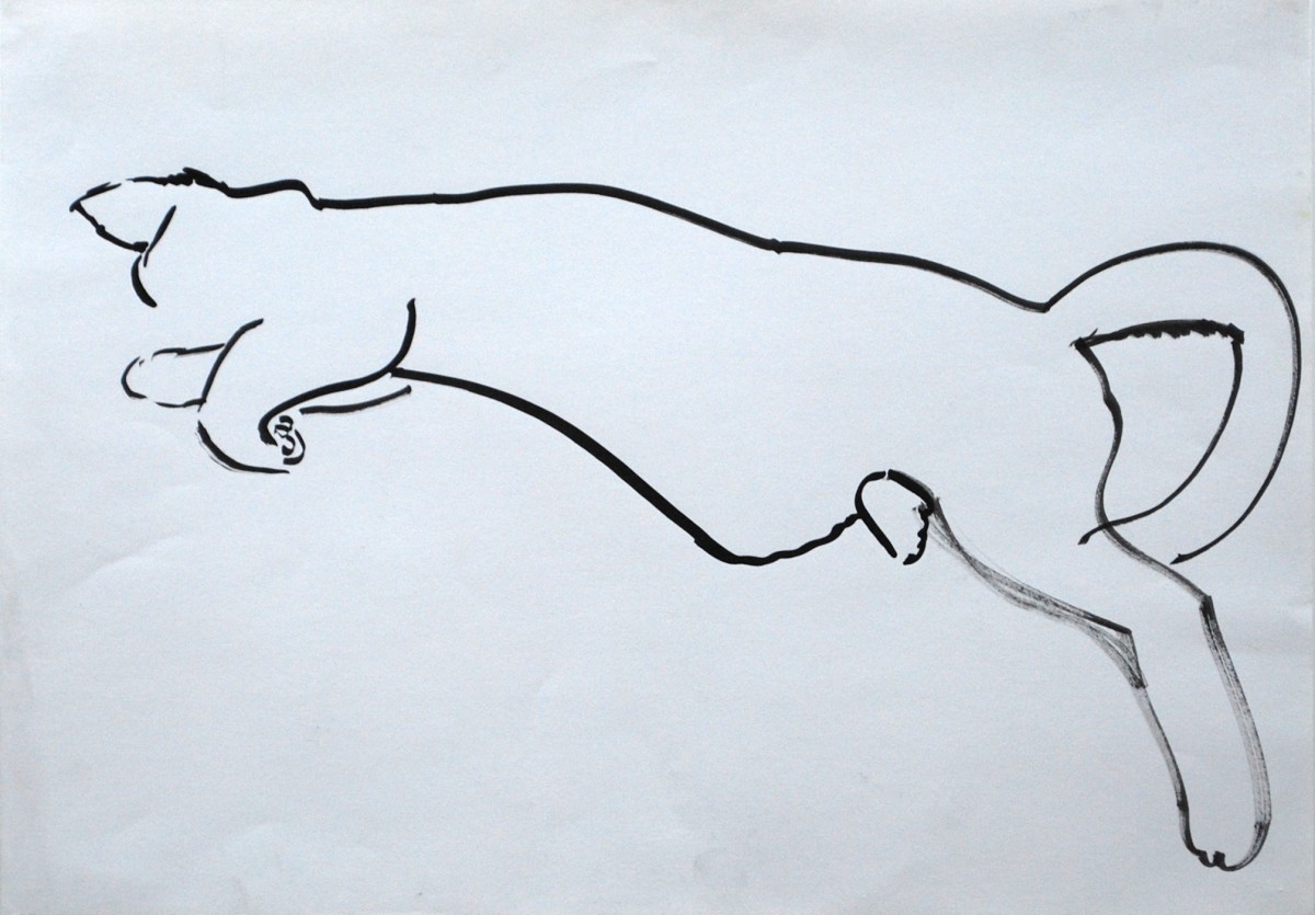 Cat gesture by Leisa Shannon Corbett 