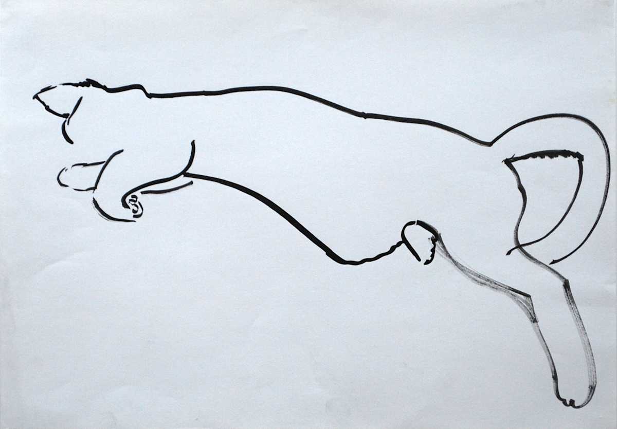 Cat gesture by Leisa Shannon Corbett, Image 1.