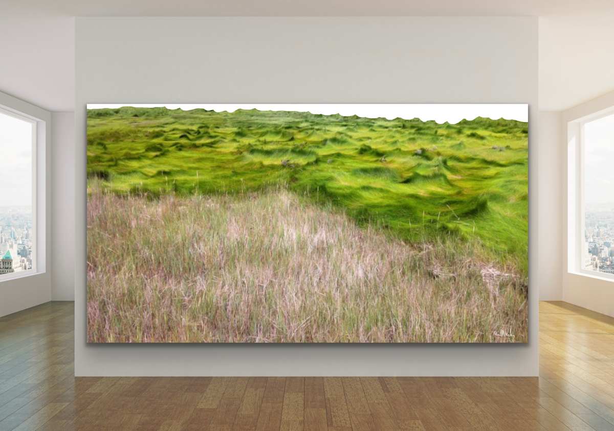 Beach Grass by Kenneth Wilan 