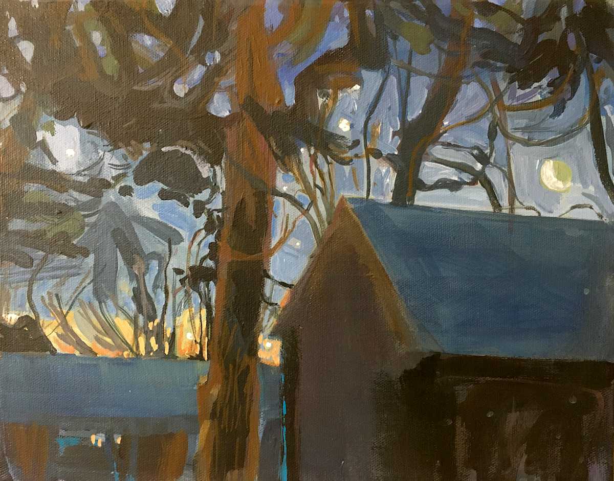 Crescent Moon and Venus by Erica Dornbusch 