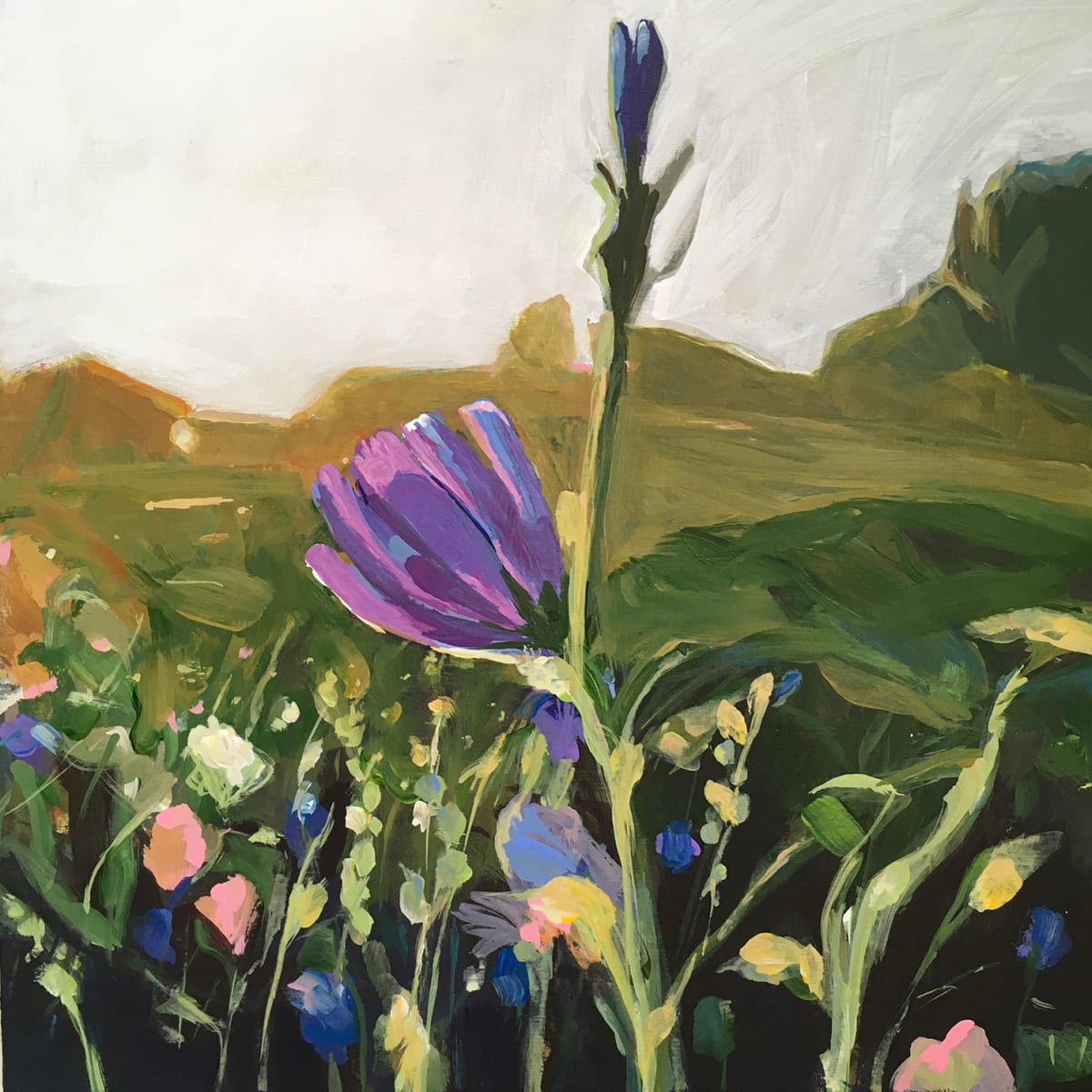 Euston Aster by Erica Dornbusch 