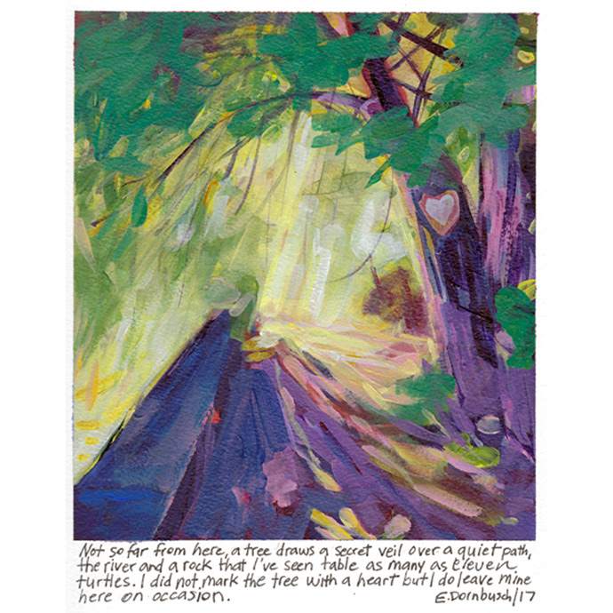 Turtle Rock by Erica Dornbusch, Image 1.