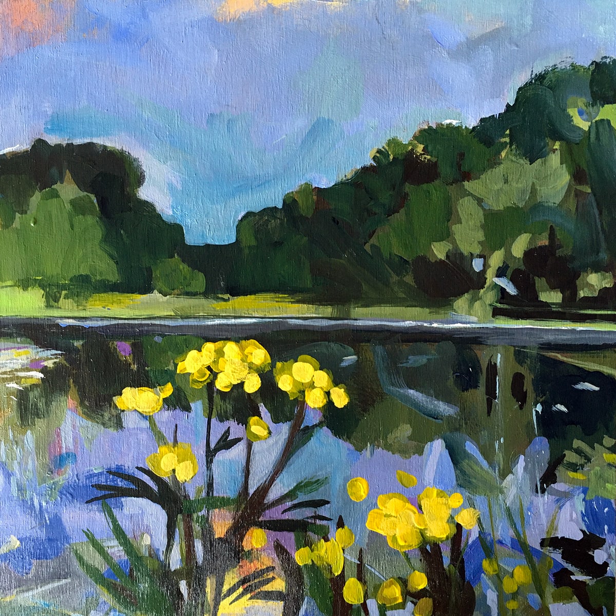 Oxbow Tansy, Image 1.