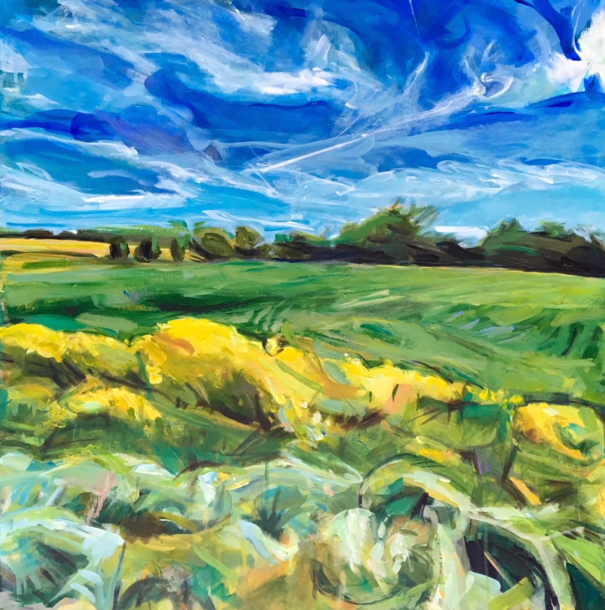 VIA Escape 84 5 14B by Erica Dornbusch 