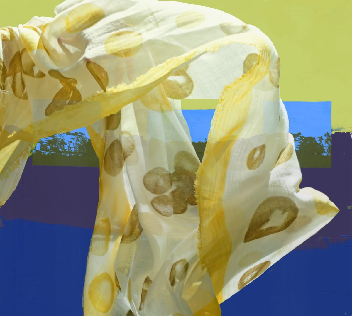 Interlusion 5 by Ginnie Gardiner, Image 1.