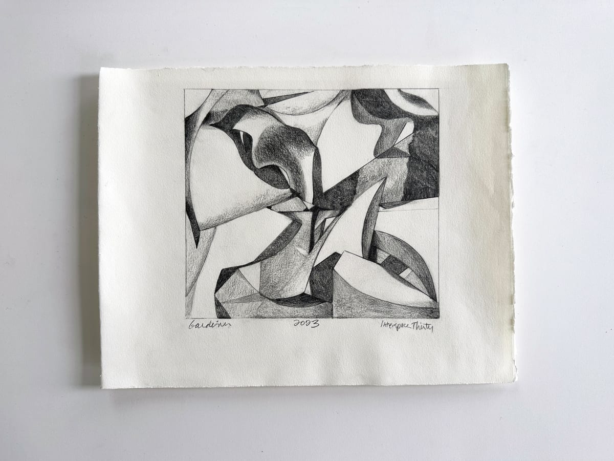 Interspace Thirty by Ginnie Gardiner 