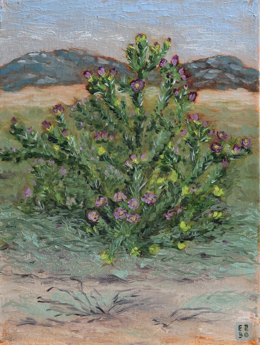 Cholla in bloom 