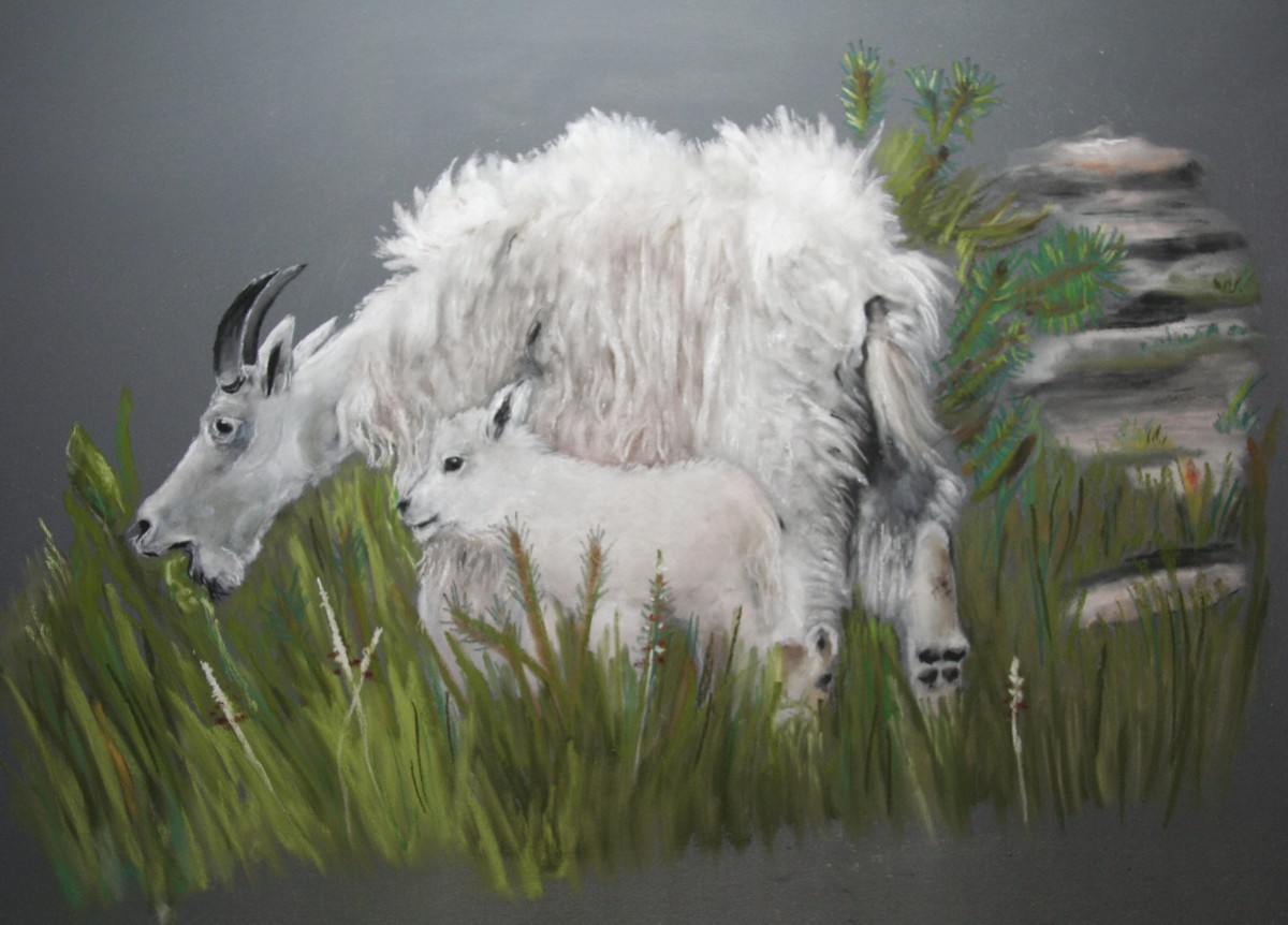 Mountian Goats by barbara gulotta 