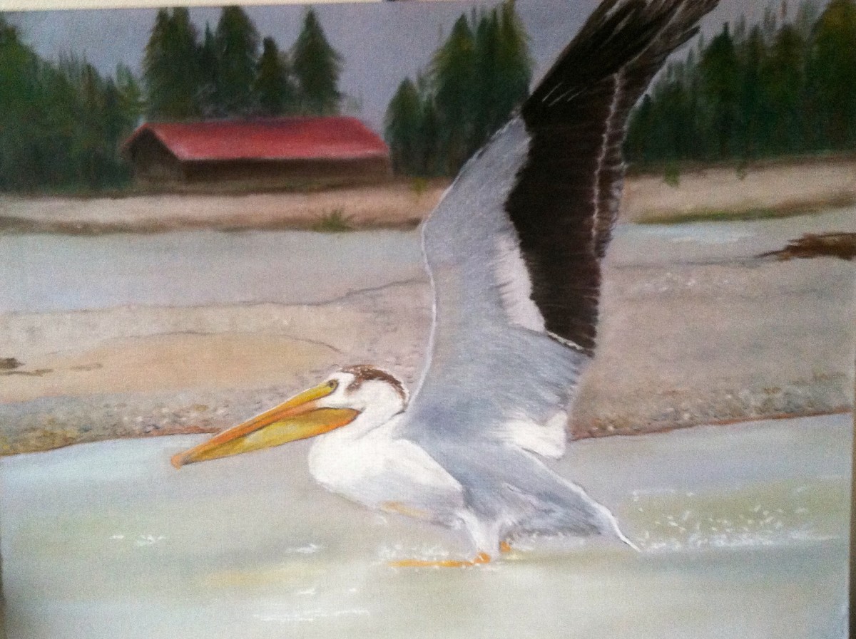 Take off by barbara gulotta 