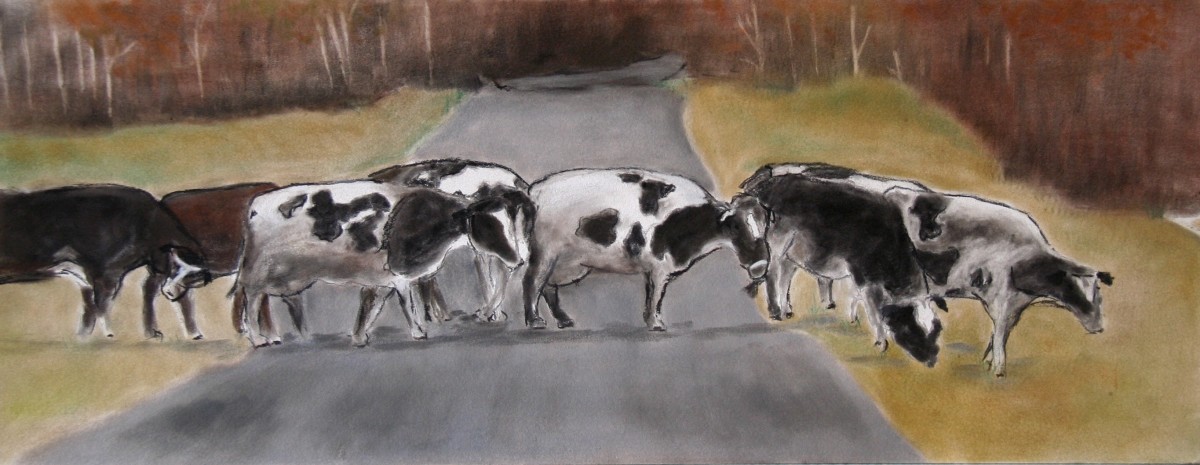 Study of Cows by barbara gulotta 