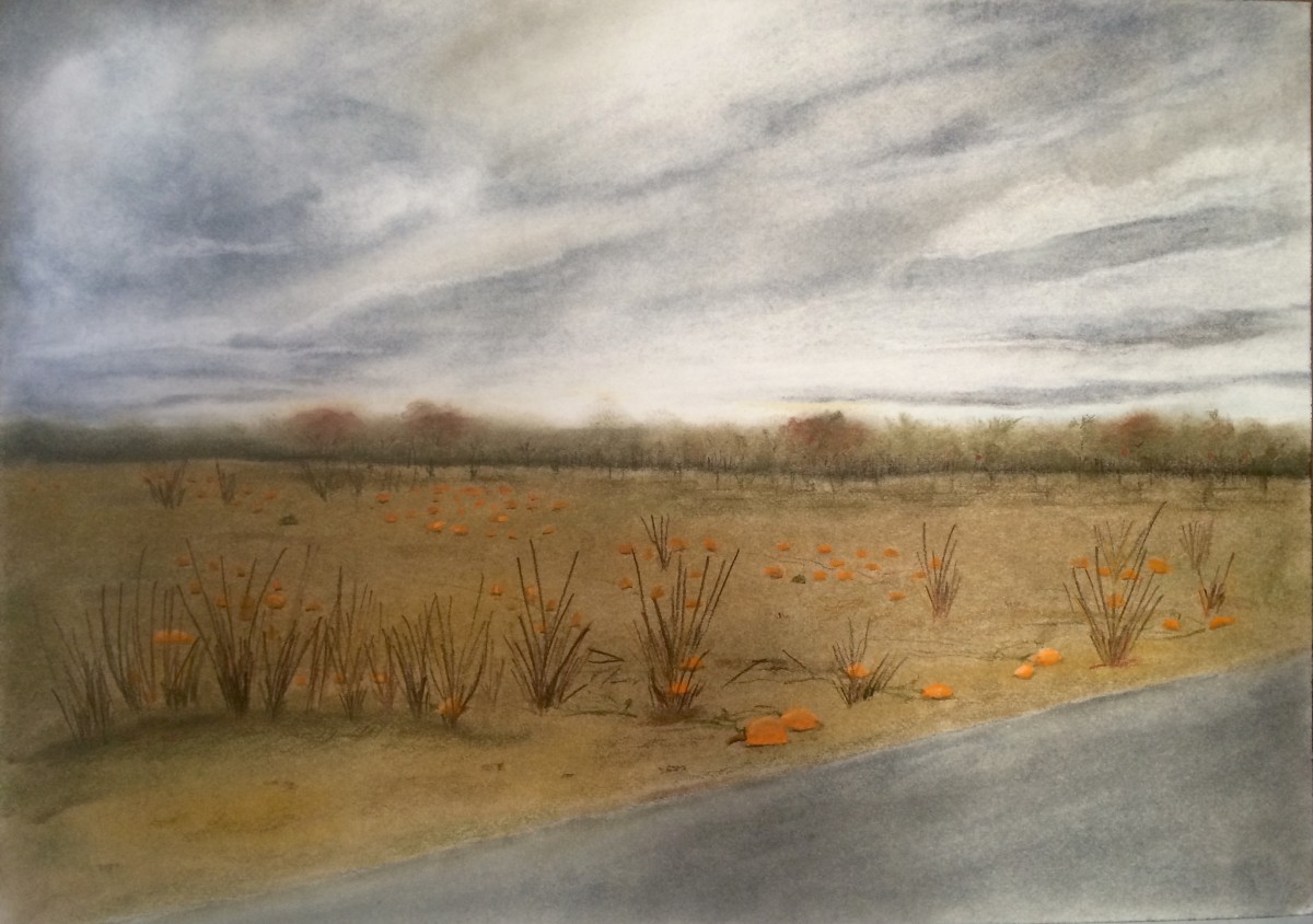 Apple trees & pumpkin vines by barbara gulotta 