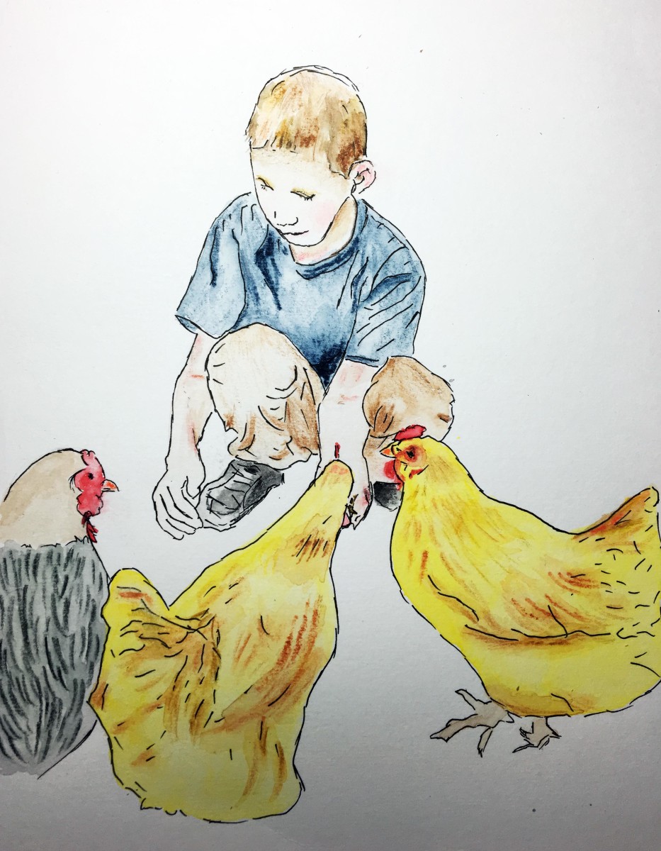 LI_chickens2 by barbara gulotta 