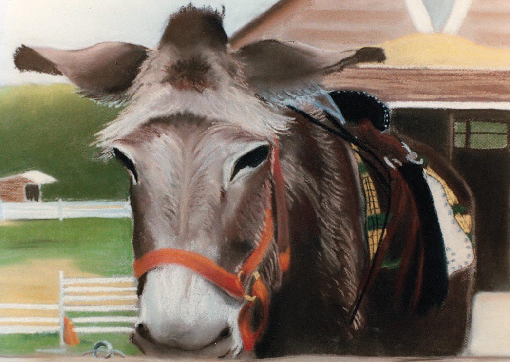 country companion by barbara gulotta 