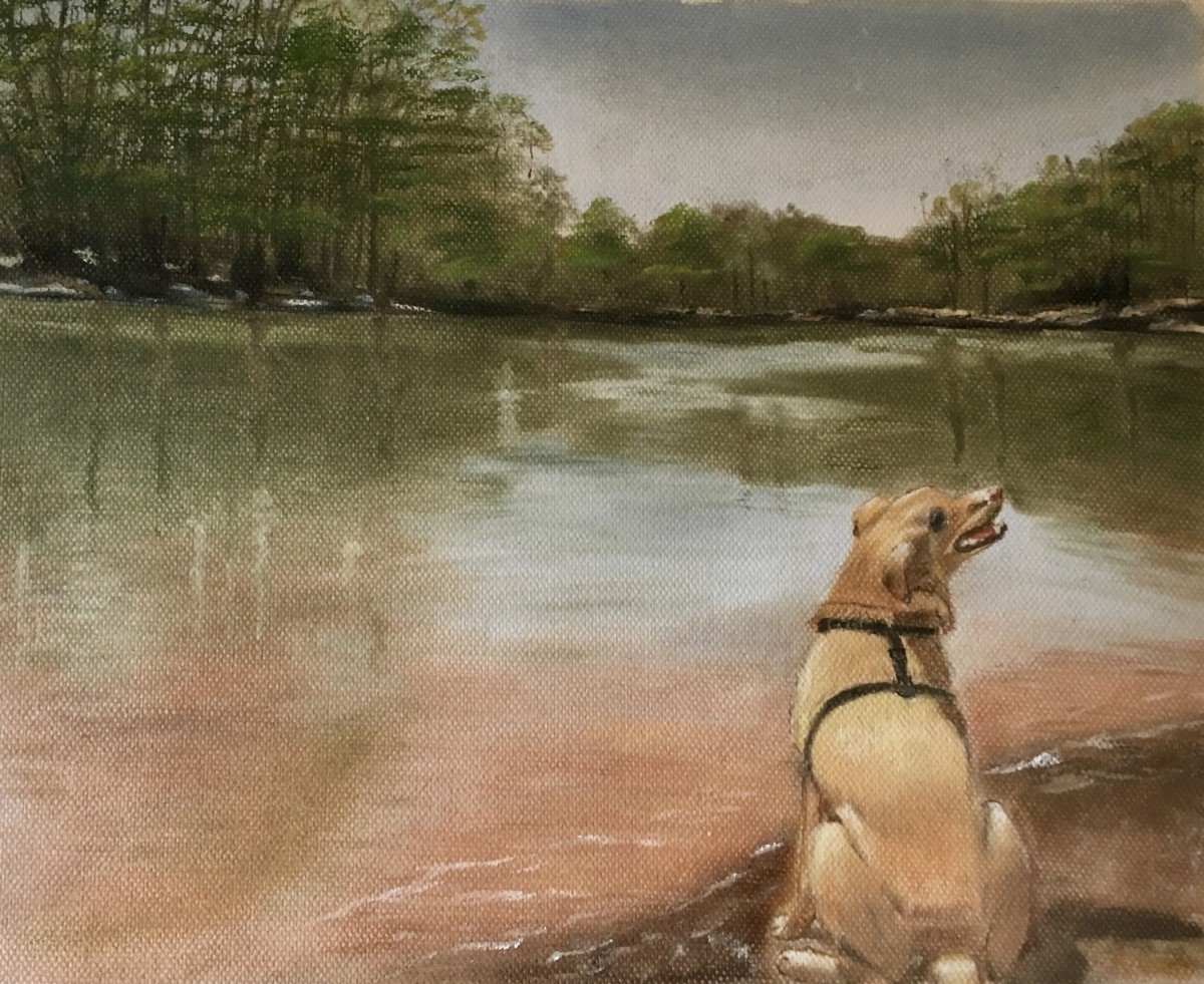 Duke at Lake Norman by barbara gulotta 