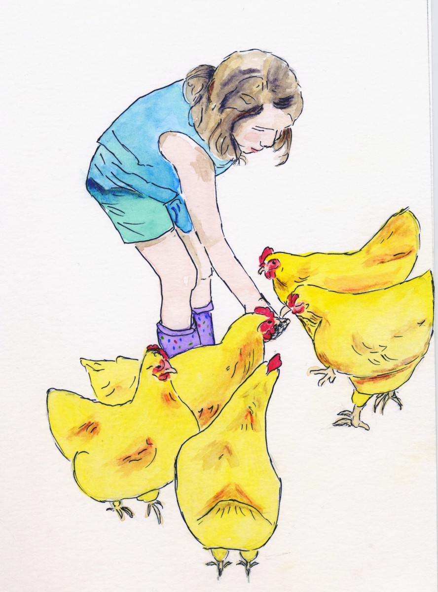 LI_chickens1 by barbara gulotta 