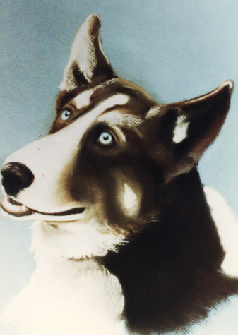 MISHA by barbara gulotta 