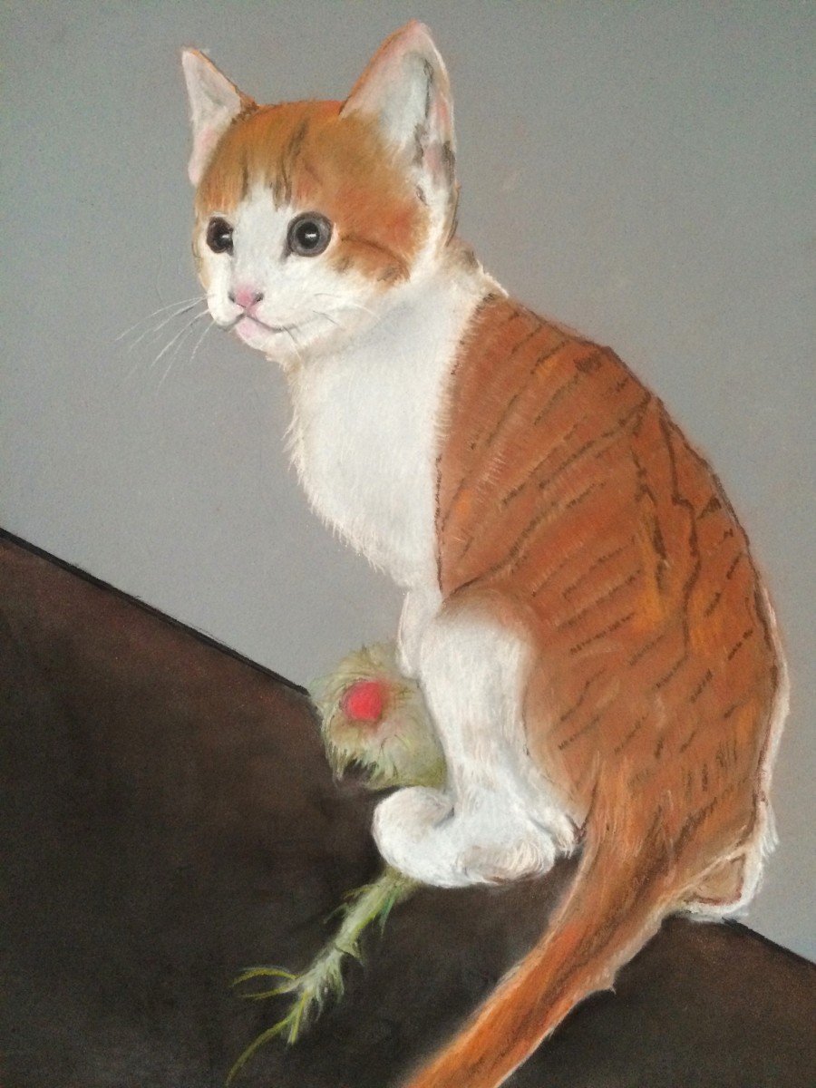 Miss Penny by barbara gulotta 