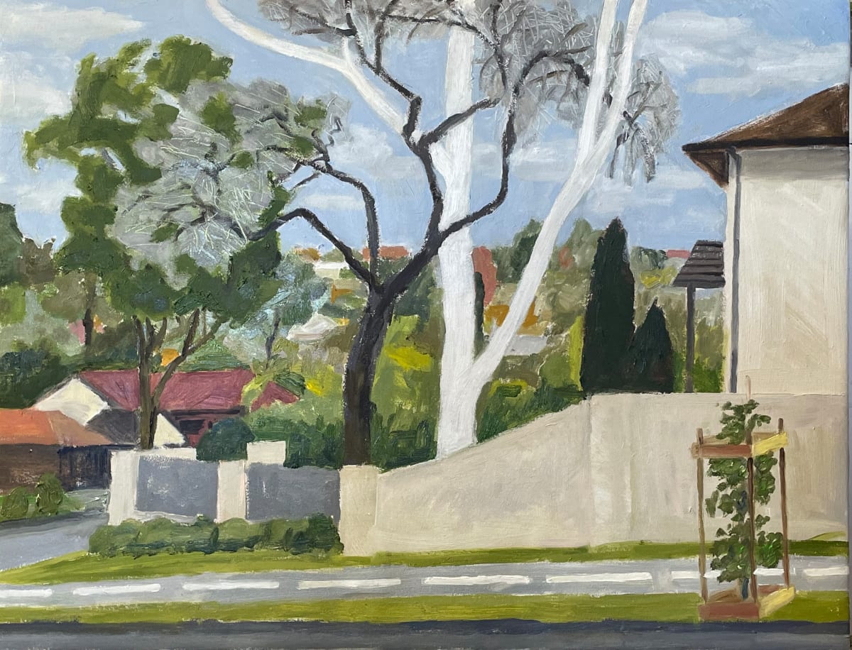 Along Pittwater Road 