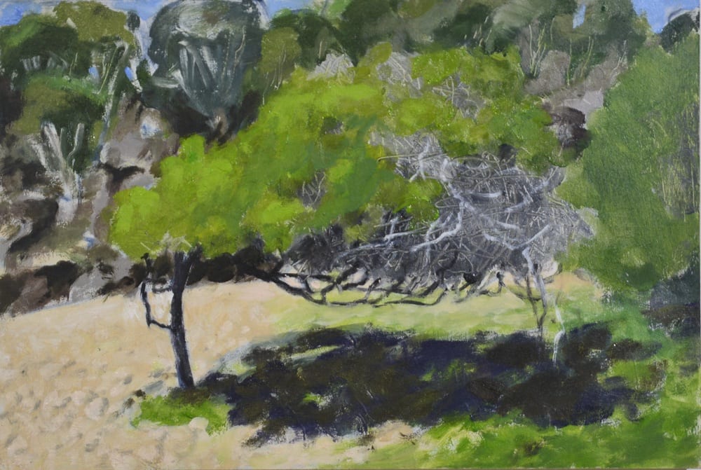 Boulder Beach Landscape by Paul Rolfe 