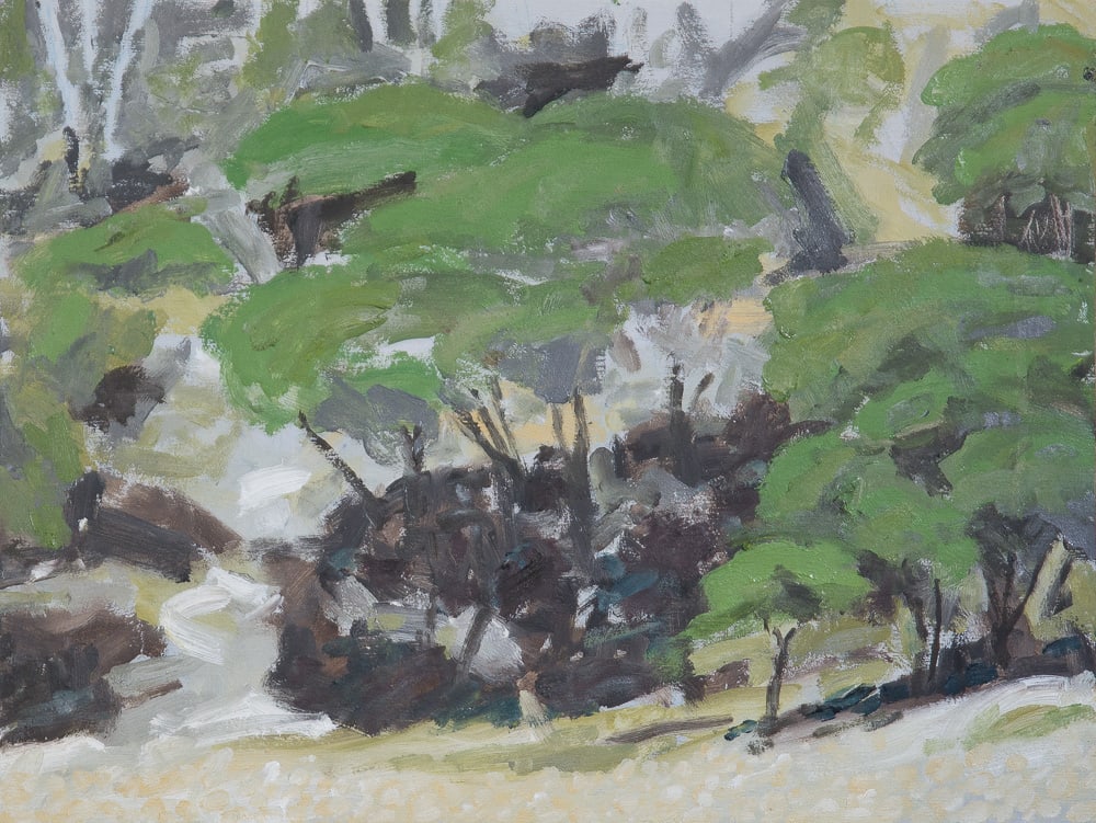 Bush Track, Boulder Beach 2021 by Paul Rolfe, Image 1.