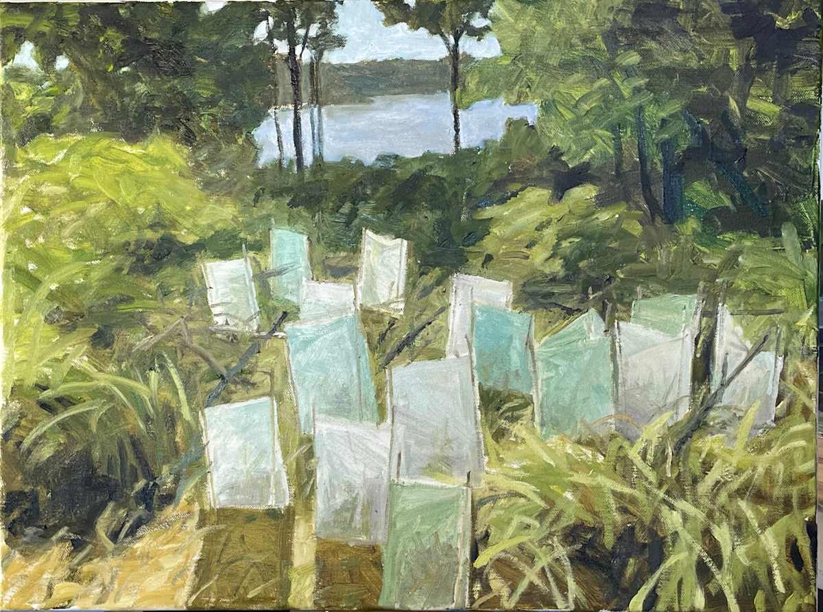 Landcare by Paul Rolfe 