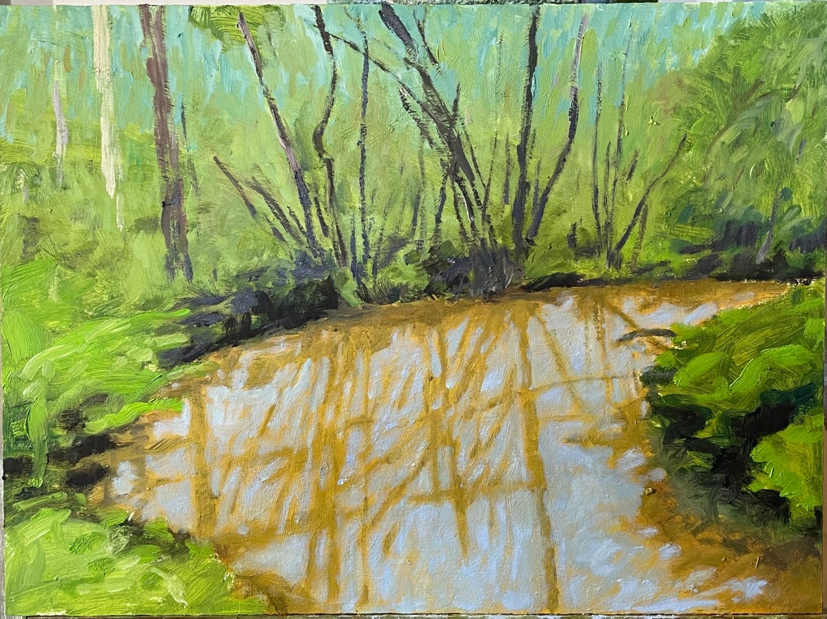 Muddy creek by Paul Rolfe 