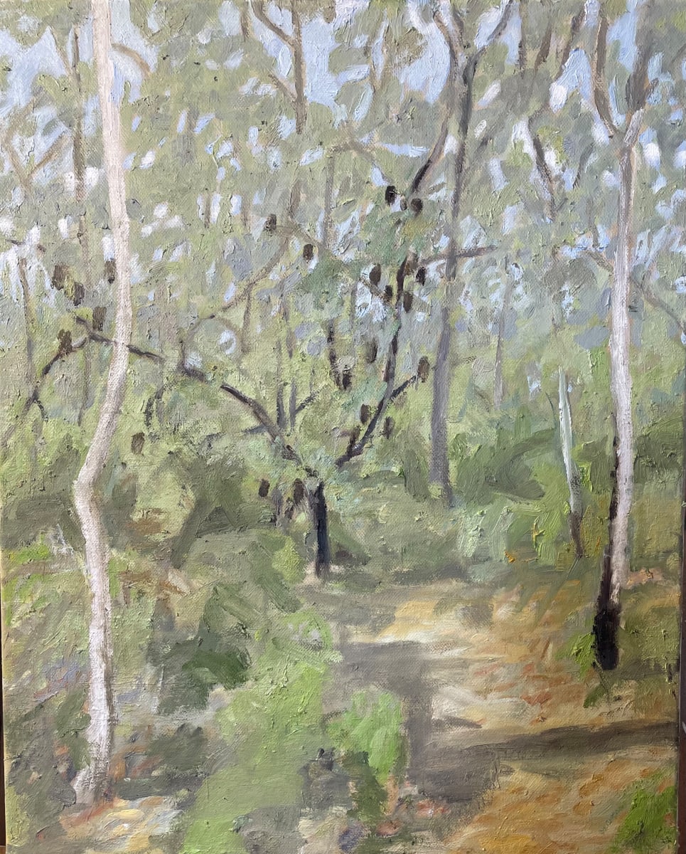 Bush Track by Paul Rolfe, Image 1.