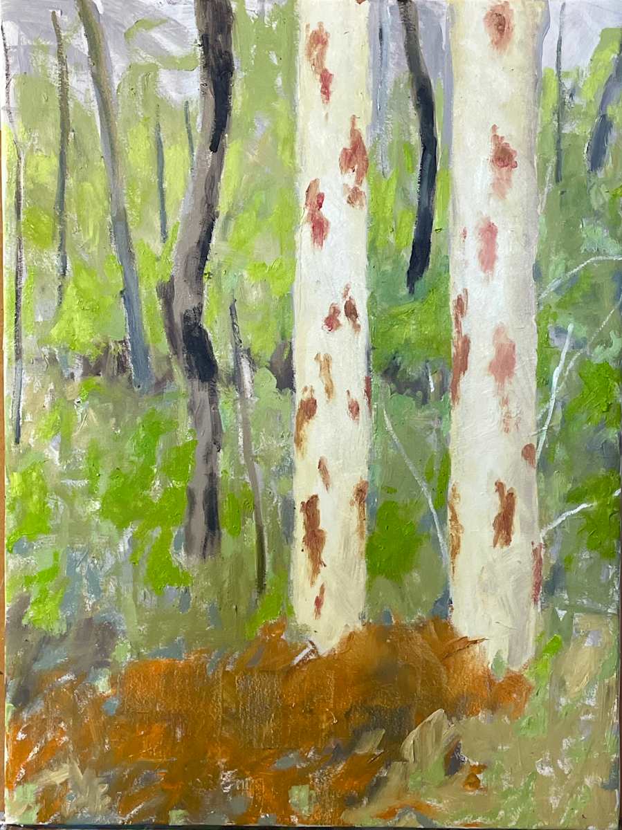 Two Trees by Paul Rolfe 