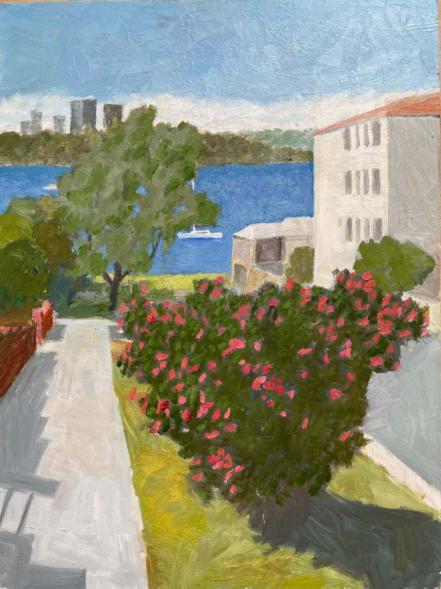 Harbour view from Drummoyne by Paul Rolfe 