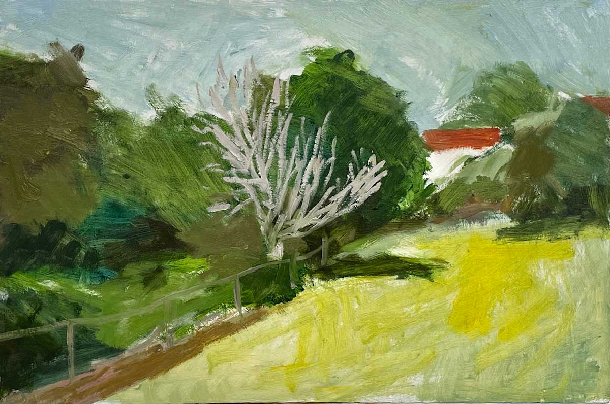Balmain Park by Paul Rolfe 