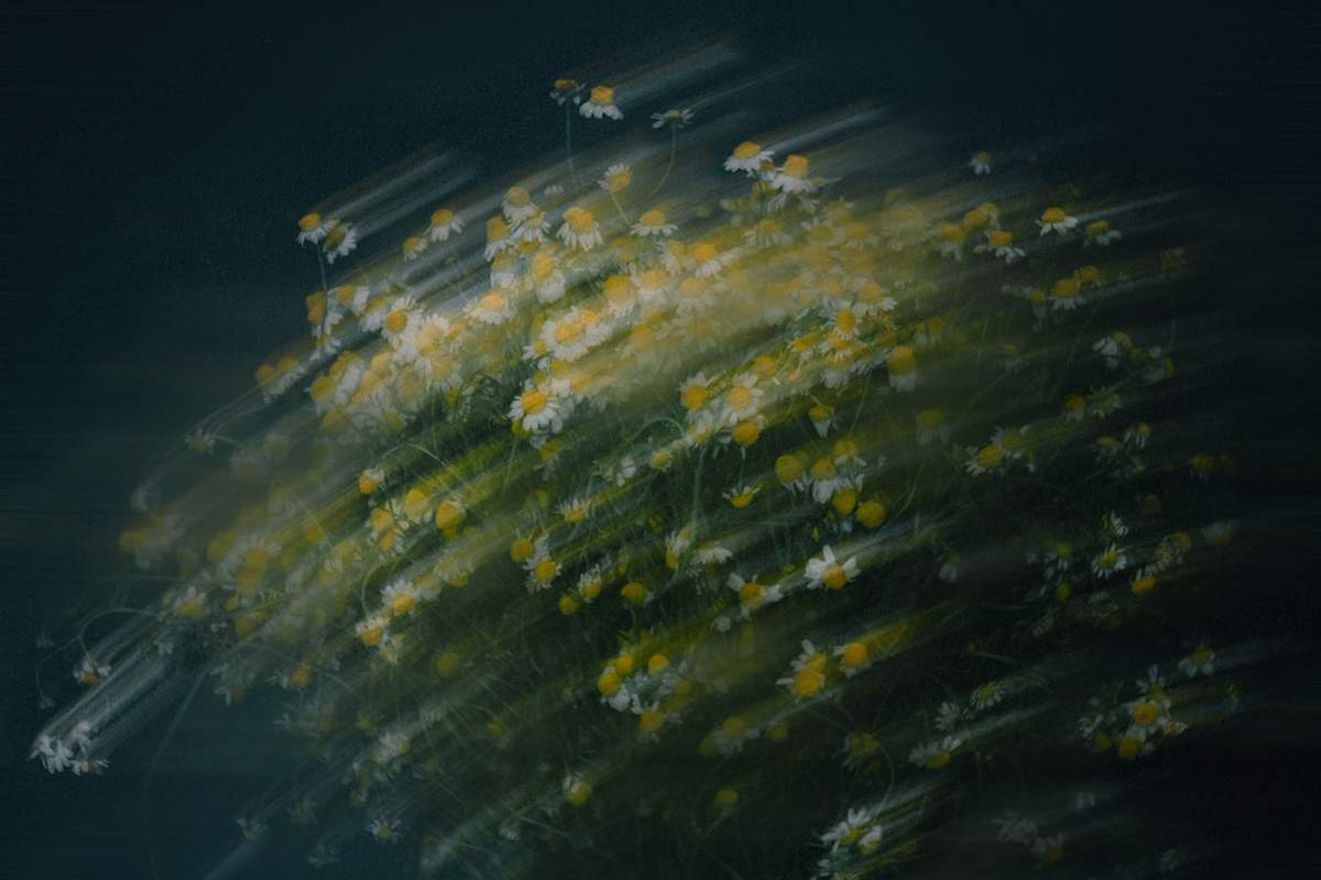 Antes de fijarse by Marisol Cid González, Image 1.