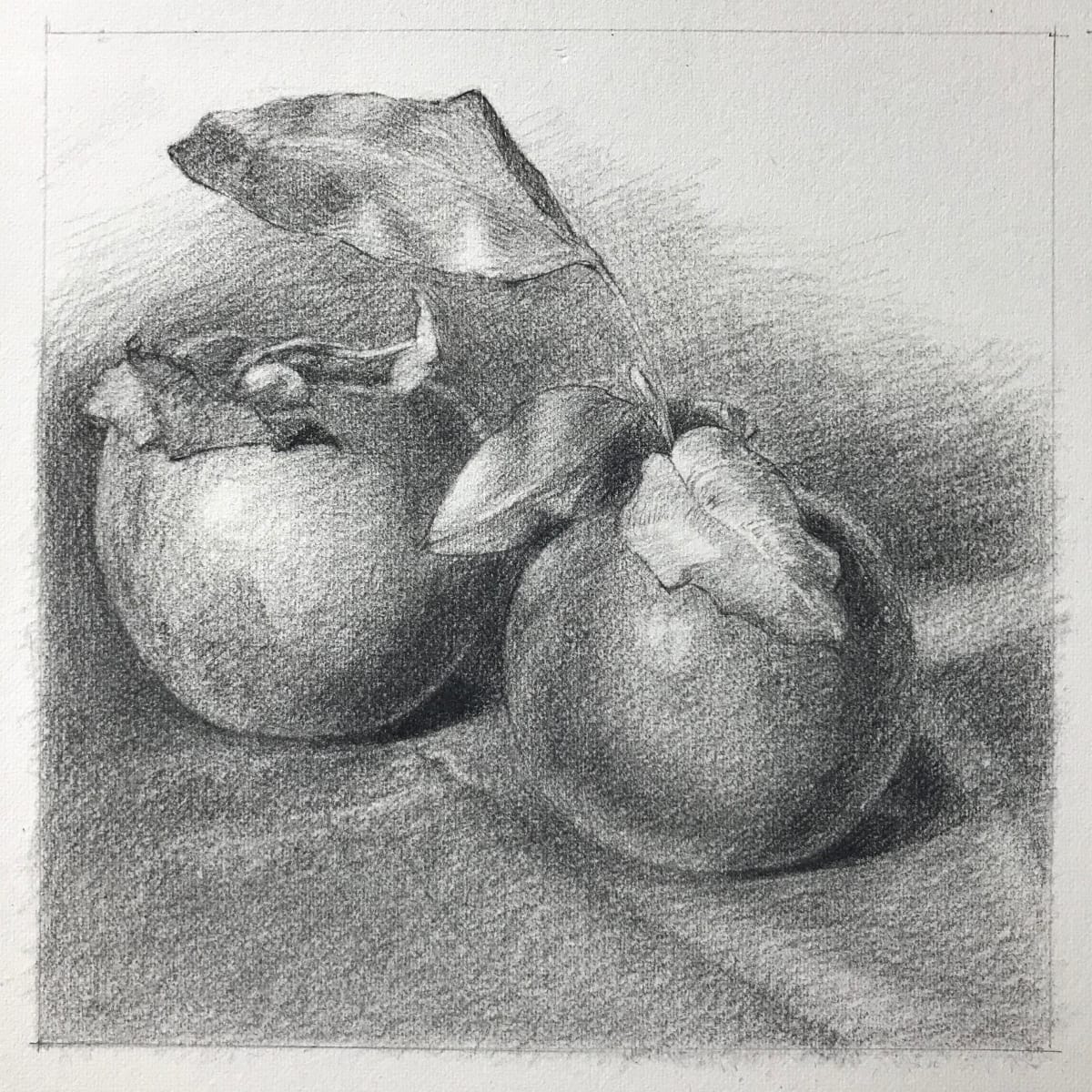 Apples Still Life, Image 1.