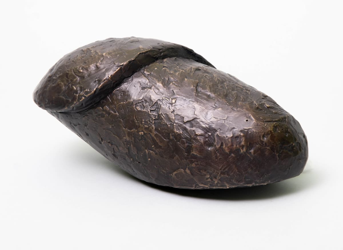 Chrysalis bronze 