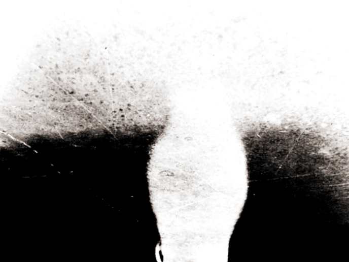 vase_au0cx1_15, Image 1.