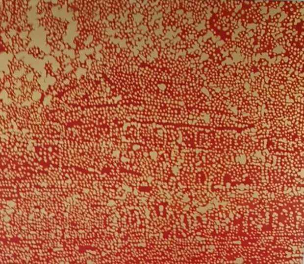 Tiananmen   【天安门】 by Ren Hui, Image 1.