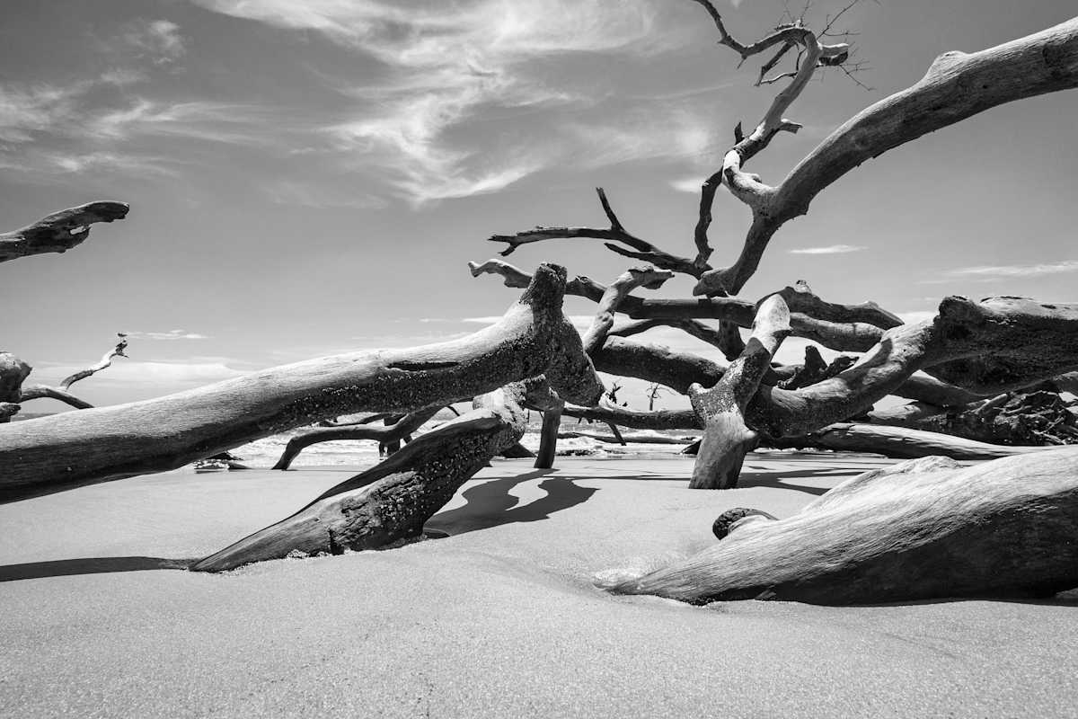 Fallen, Image 1.