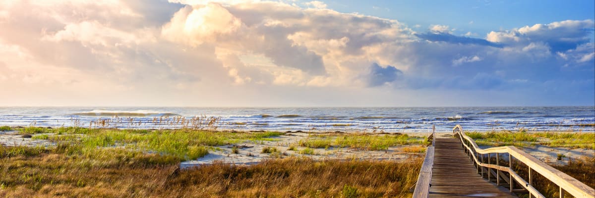 Morning Walk by Joe Fishburne 