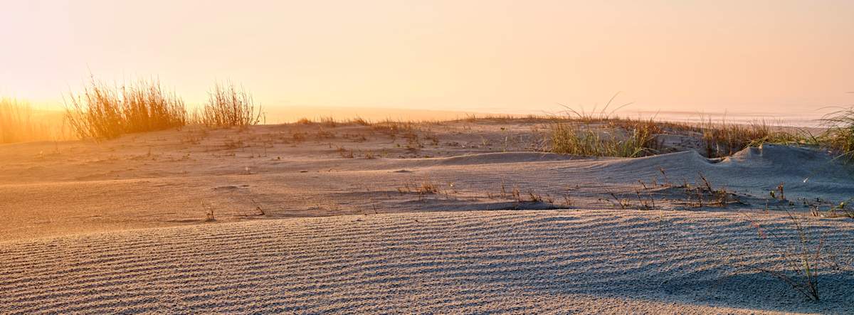 Sand Ripples by Joe Fishburne, Image 1.